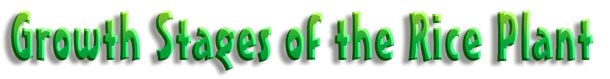 title002.JPG (17275 bytes)