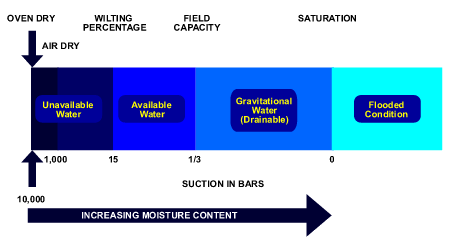 forms of soil water
