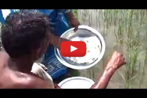 Bangladesh: Easing the plight of the hungry