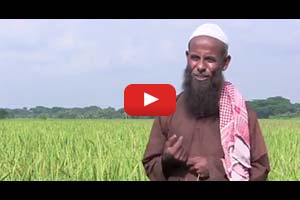 Helping farmers catch up in southwestern Bangladesh