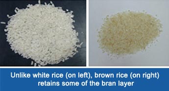 brown rice