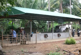 cambodian-flatbed-dryer