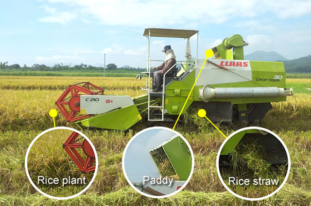 combine-harvester-with-rice-straw