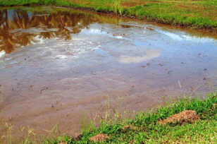 crop-prob-mgt-muddy-soil