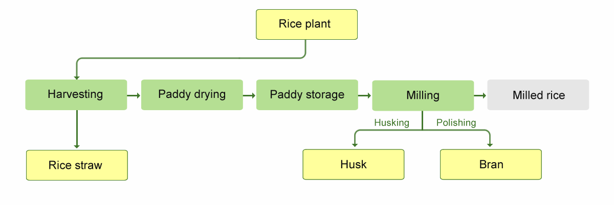 Storage systems - IRRI Rice Knowledge Bank