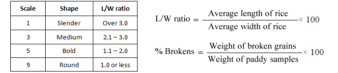 GrainShapesFormula