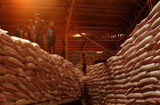 http://www.knowledgebank.irri.org/images/stories/factsheet-grainstorage.jpg