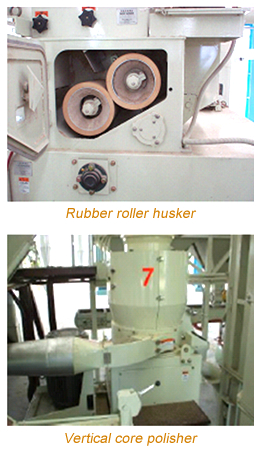 Efficient Rice Milling Machines for Commercial Use 