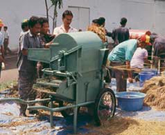 manual threshing