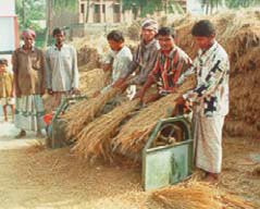 factsheet-threshing7