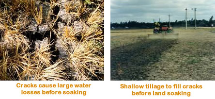 factsheet-watermgt-soilcracks