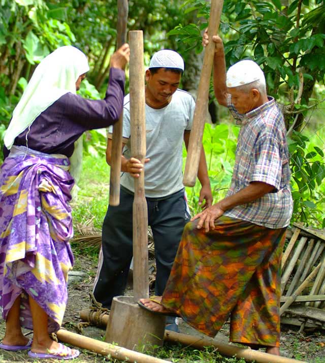 http://www.knowledgebank.irri.org/images/stories/husking-with-mortar-and-pestle.jpg