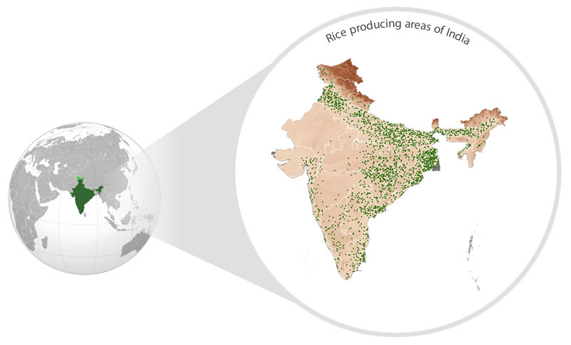 india-agro-ecologies