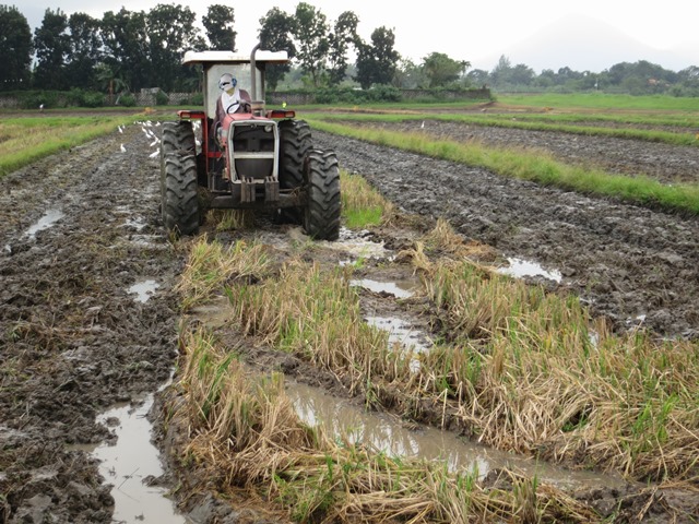 landprep-plowing-after-harvest