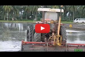 IRRI Agronomy Challege: Laser Leveling