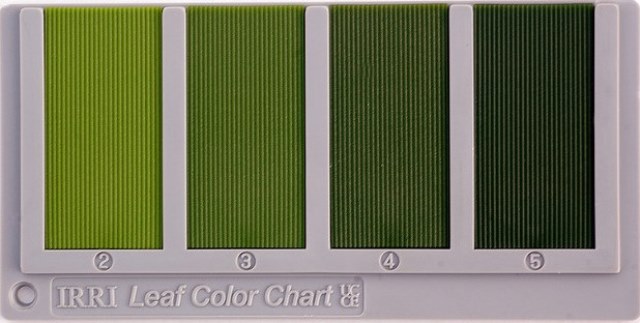 Irri Leaf Color Chart