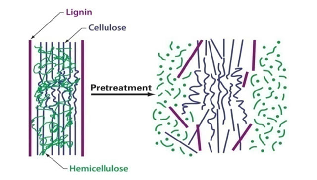 major-components-of-lignocellulosic-biomass