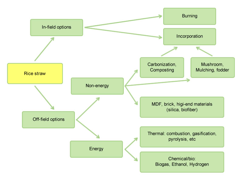 mgt-options-for-rice-straw