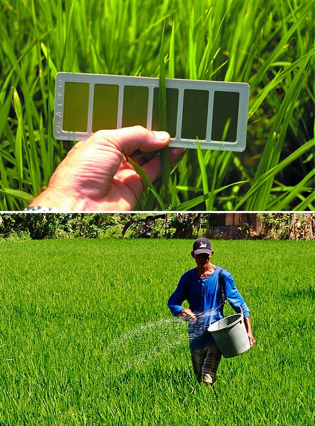 Irri Leaf Color Chart