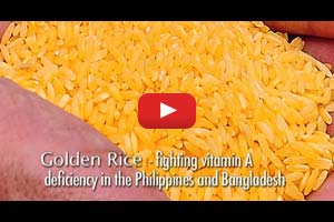 Fighting vitamin A deficiency in the Philippines and Bangladesh