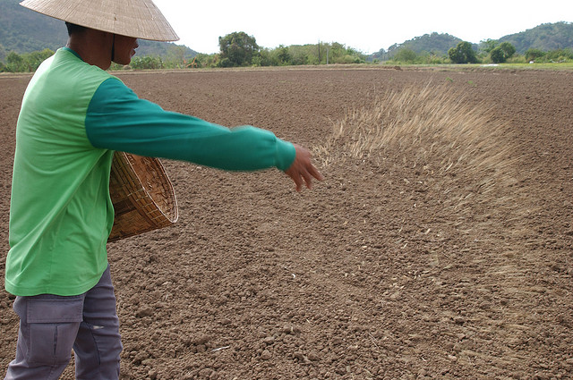 planting-broadcasting