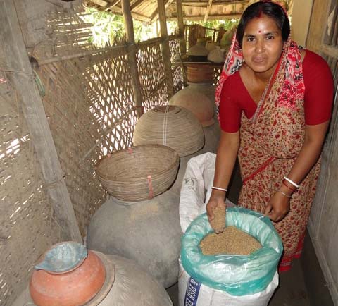 postharvest-storage-bulk-farm