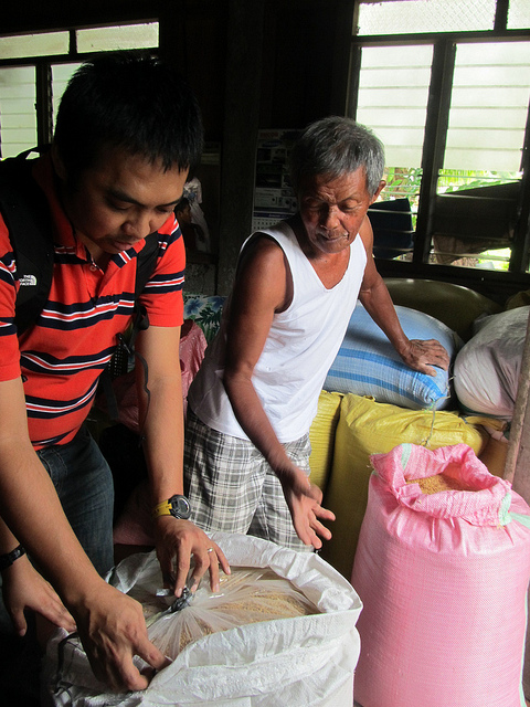 Storage systems - IRRI Rice Knowledge Bank