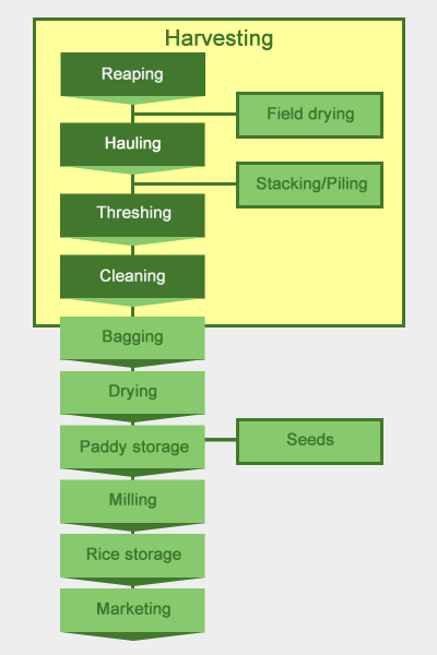 postharvest-system--harvesting-popup