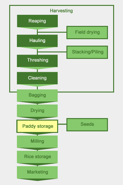 postharvest-system-for-storage