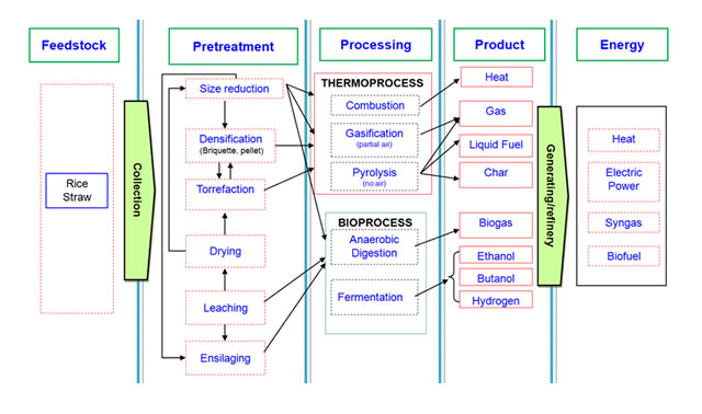 potential-energy-conversion-processes-rice-straw