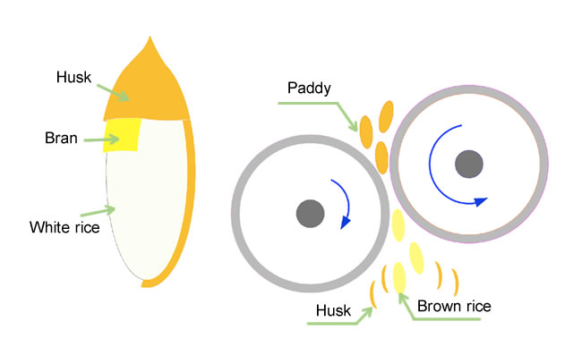 Rice Conversion Chart