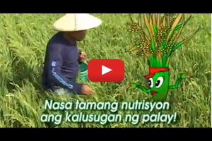 Ang Mga Kuwento ni Ryza