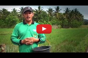 Farmers tell their stories: Appropriate and balanced fertilization