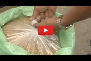 Grain Storage: IRRI Super Bag