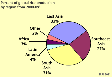 diagram of growing rice data wiring diagram today Diagram of Arkansas diagram of growing rice wiring diagram rice seed diagram diagram of growing rice